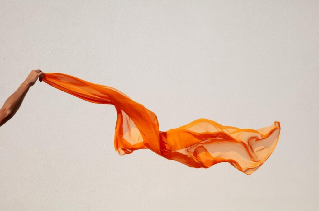 Polyester vs Silk(1)